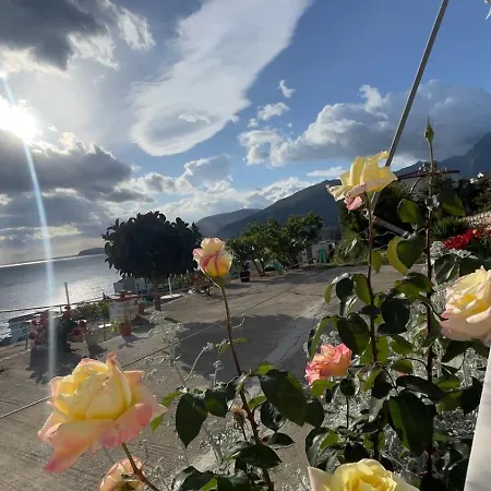 Blerta Appartement *