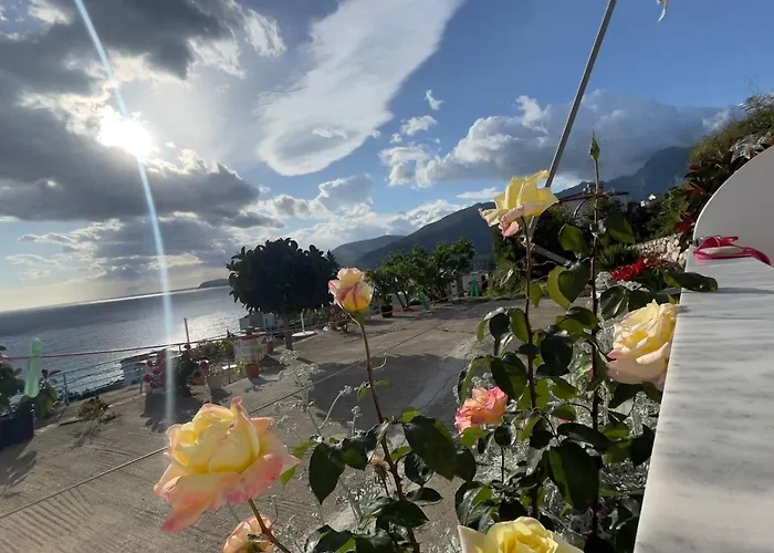 Blerta Appartement *